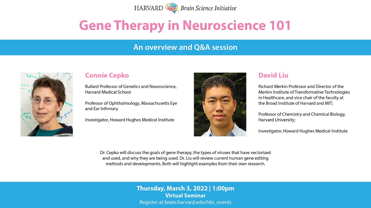 Gene Therapy in Neuroscience 101