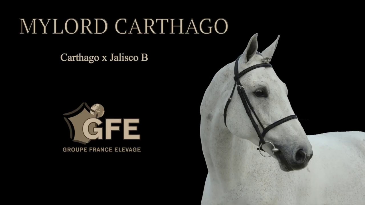 Mylord Carthago 2019