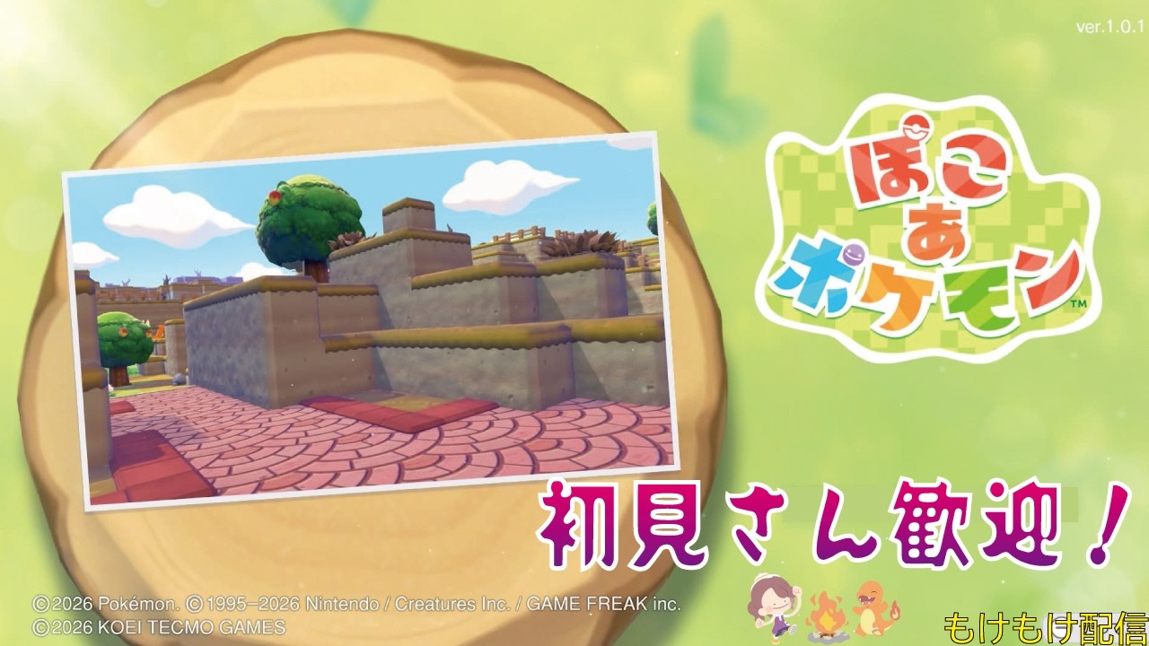 ぽこあポケモン１