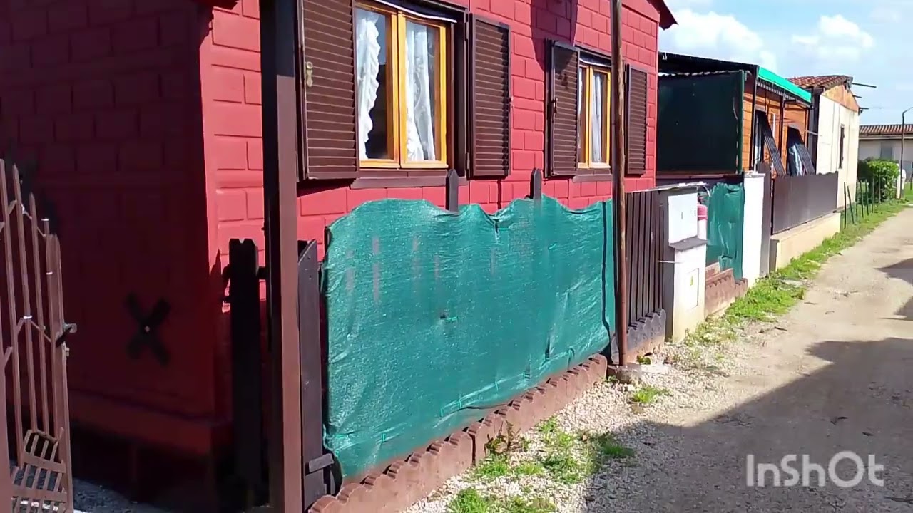 ПРОГУЛКА ПО ДВОРИКУ. БОНЯ ПОРУЧ 🤗