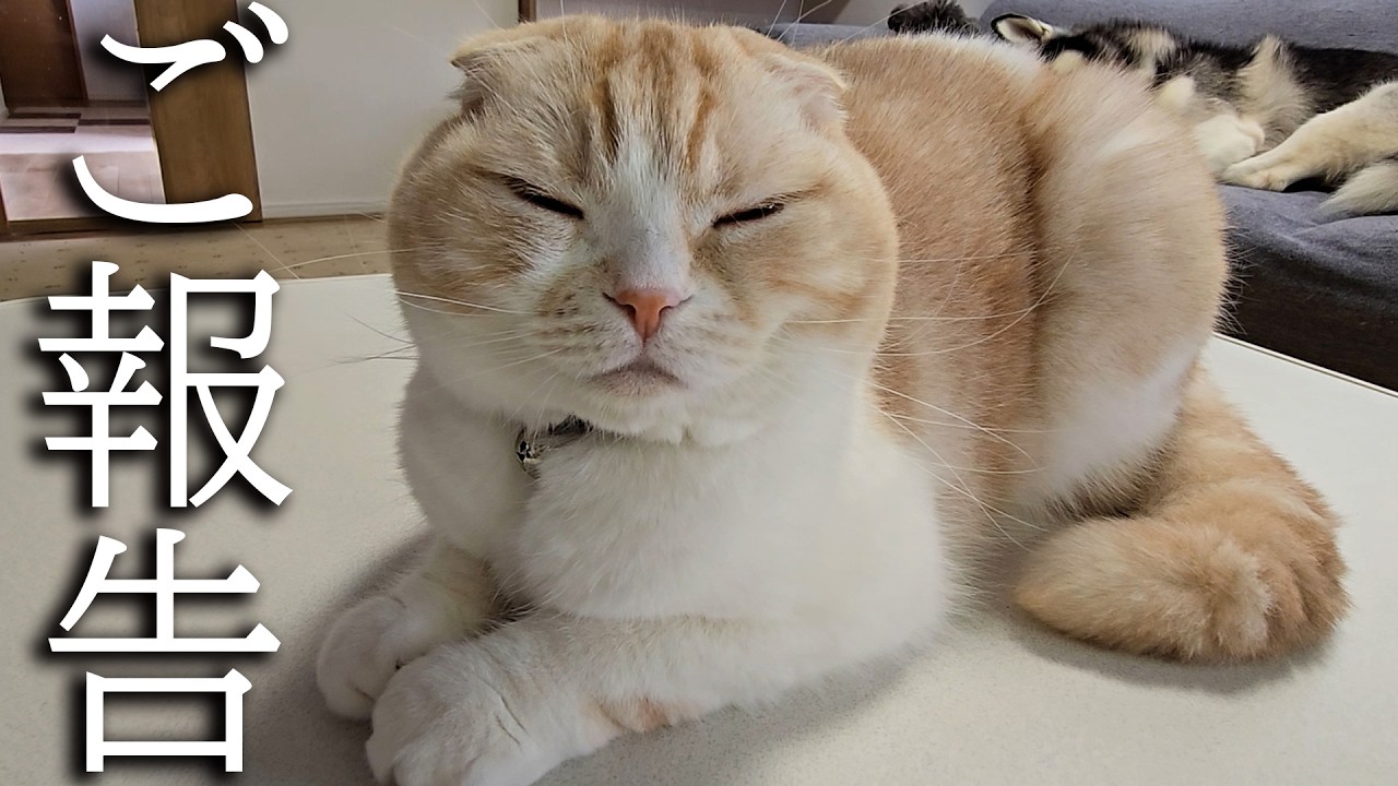 みなさまにご報告があります...