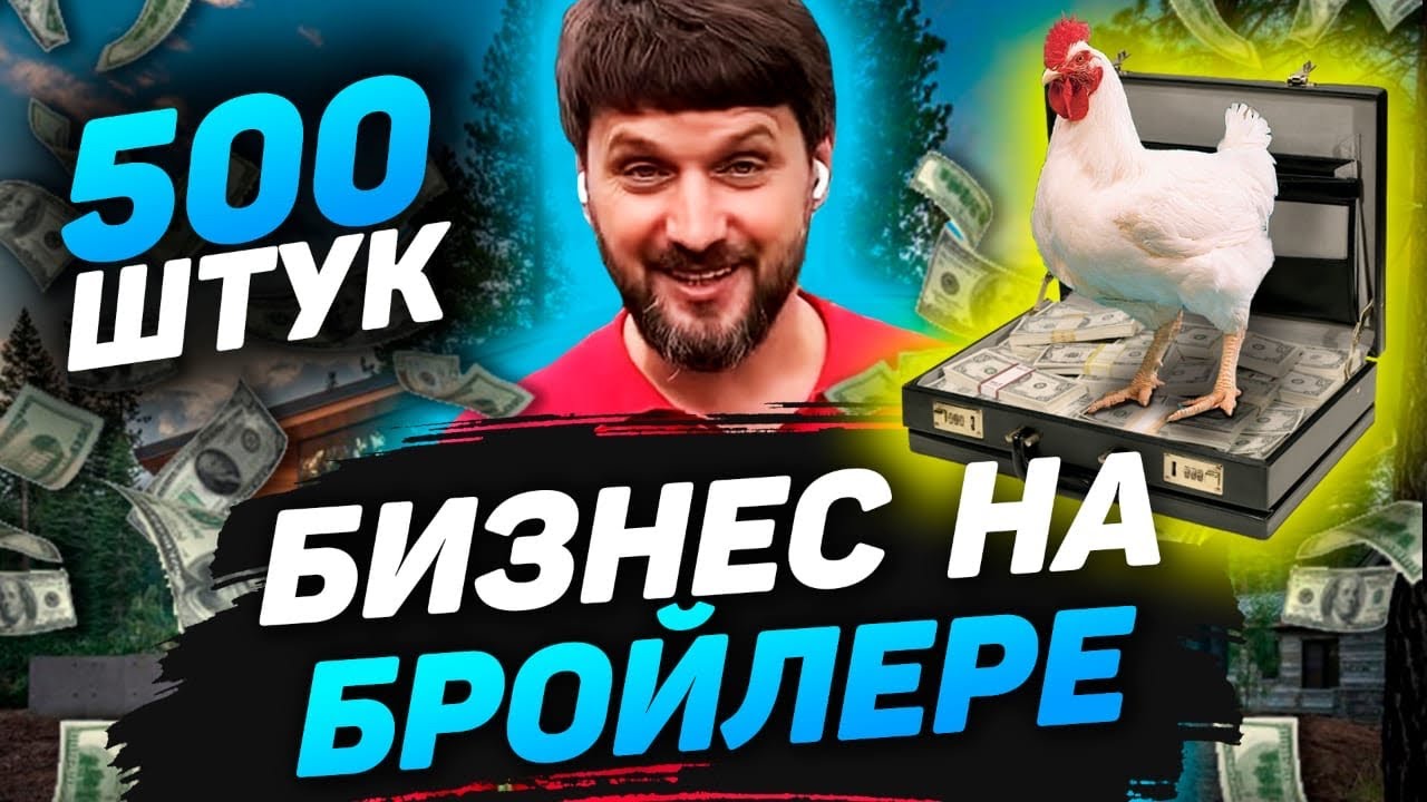 Выращивание бройлера 500 шт у себя на участке, соседи и запах помета, бизнес на бройлере кобб 500