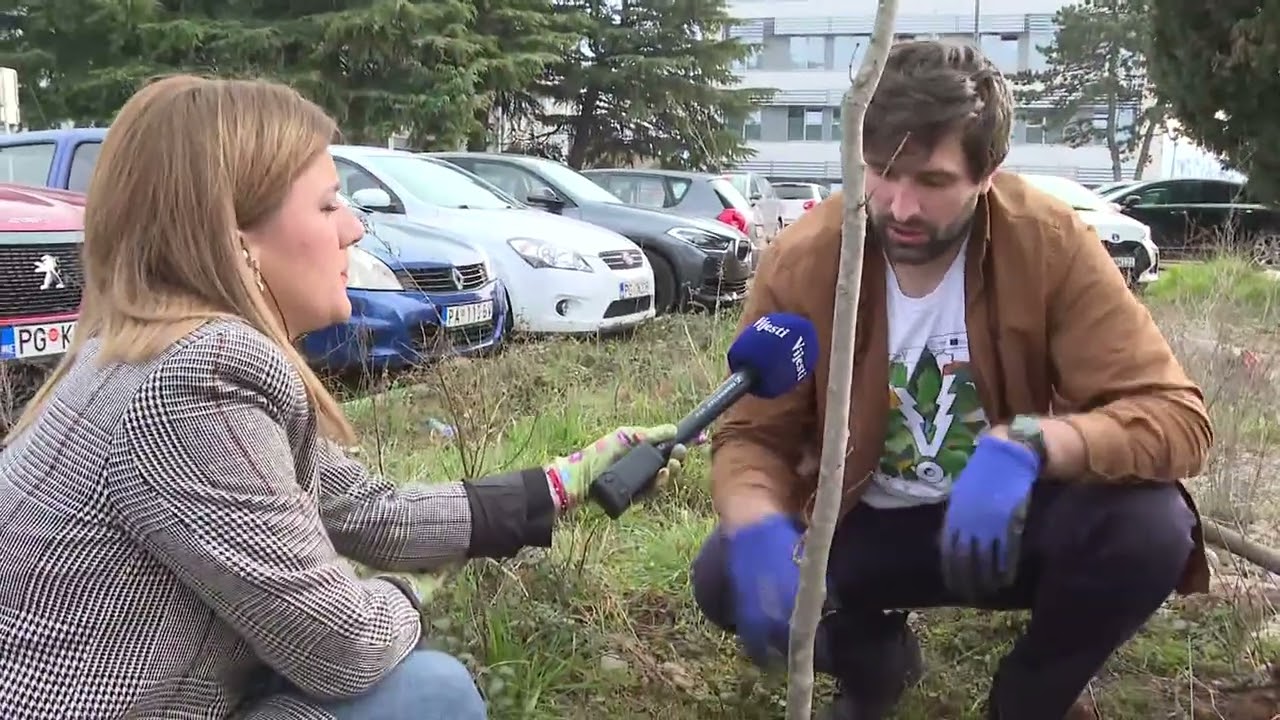 BOJE JUTRA - SADIMO ZAJEDNO | Vijesti online