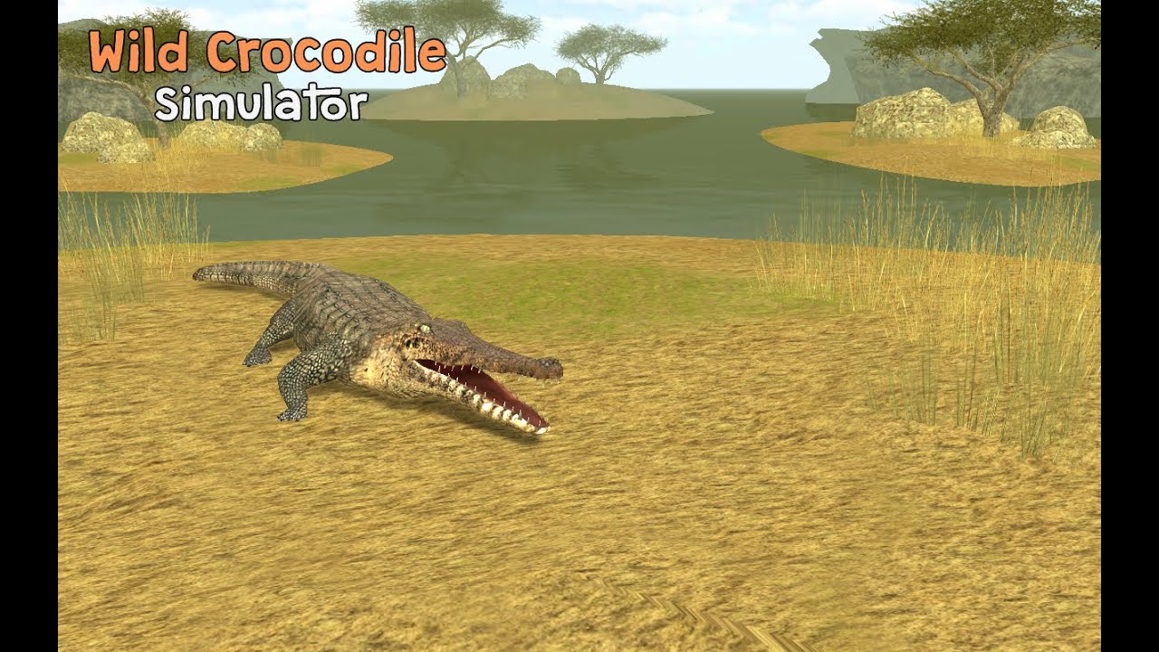 Wild Crocodile Simulator 3D By Turbo Rocket Games - Android / iOS - Gameplay