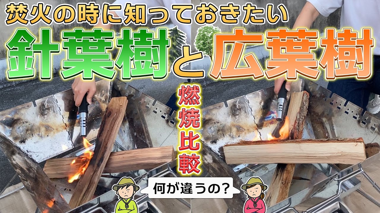 キャンプで知っておきたい焚き火の知識　針葉樹と広葉樹の違い