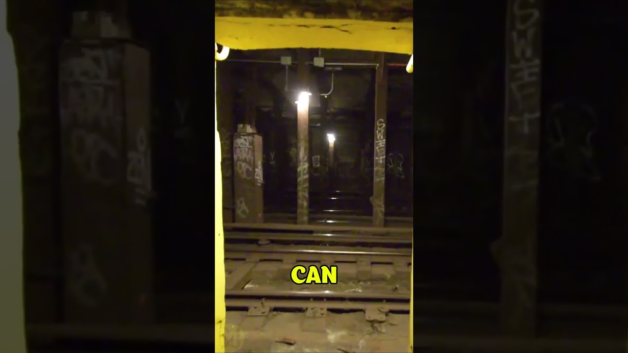 How to Avoid the Train in the Subway Tunnel 🚂