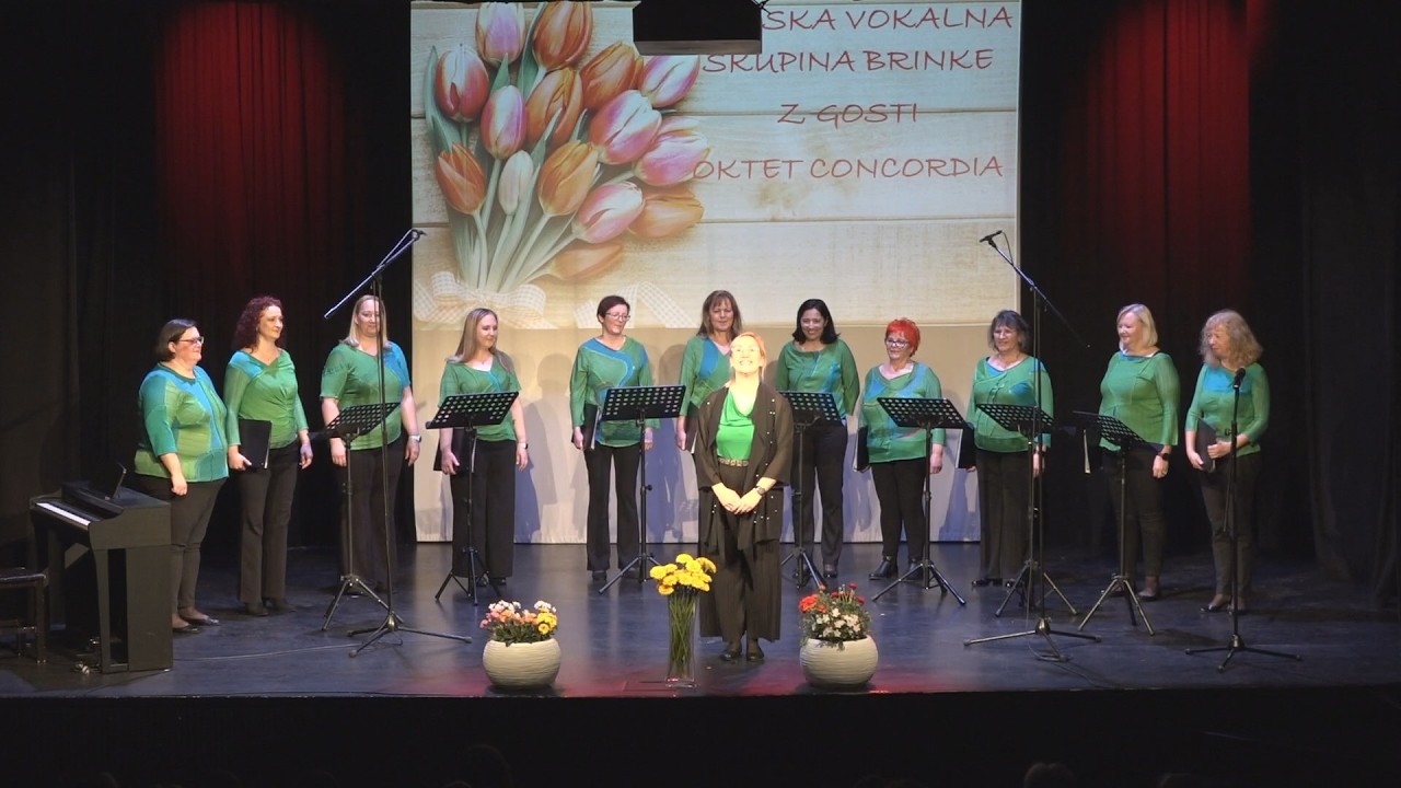 LJUBEZEN JE V ZRAKU - KONCERT BRINKE Z GOSTI