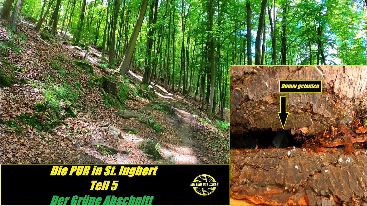 Teil 5 | Die runderneuerte PUR um St. Ingbert | Grüner Abschnitt | Saarland MTB
