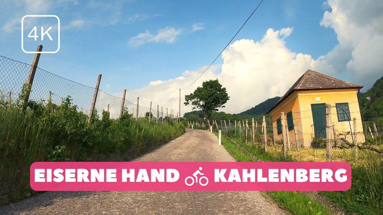 Beautiful road up to the Kahlenberg | Vienna E-Bike Ride