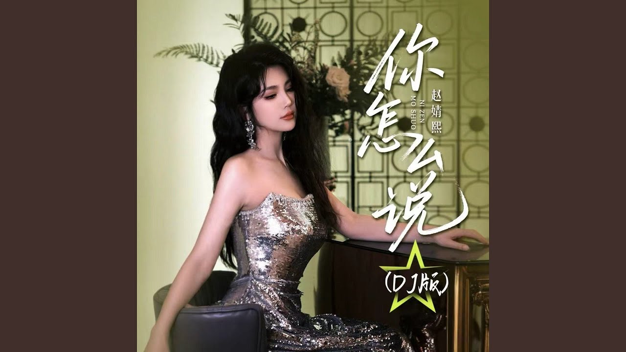 你怎么说 (Dj京仔版)