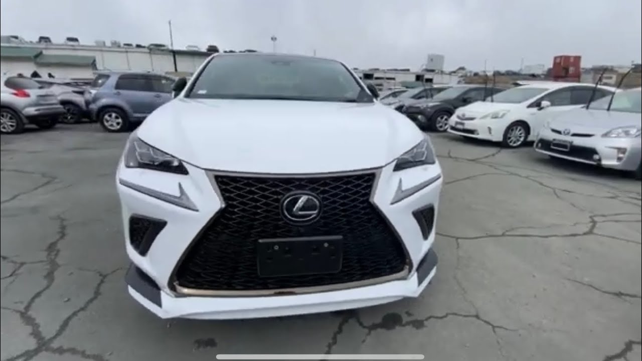 Lexus NX300 2018 F Sport Luxury 083 TRD