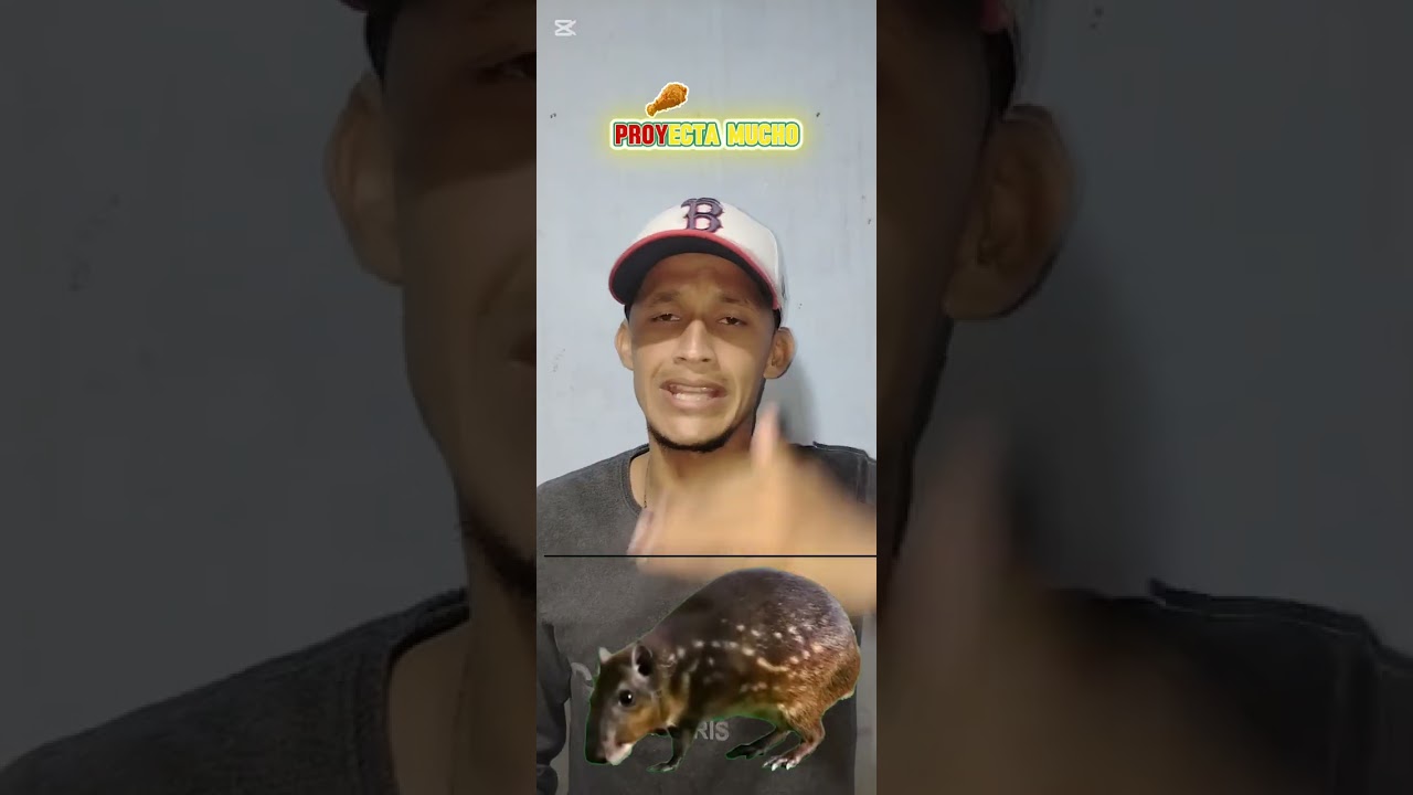 💫Datos de animalitos para 🎰lotto activo 🚜granjita 🦉guacharo activo para d&iacute;a jueves 12/03/2026📅