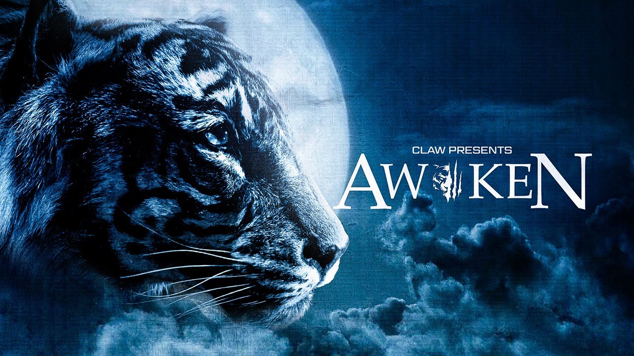 AWOKEN | MULTI COD TEAMTAGE