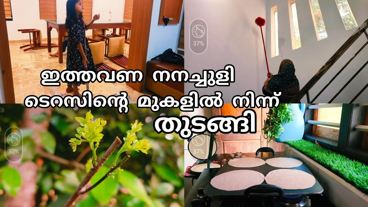 കറിവേപ്പില പ്രൂണിങ് മെത്തേഡ് / Ramadan cleaning day1/ white dress machine wash tips