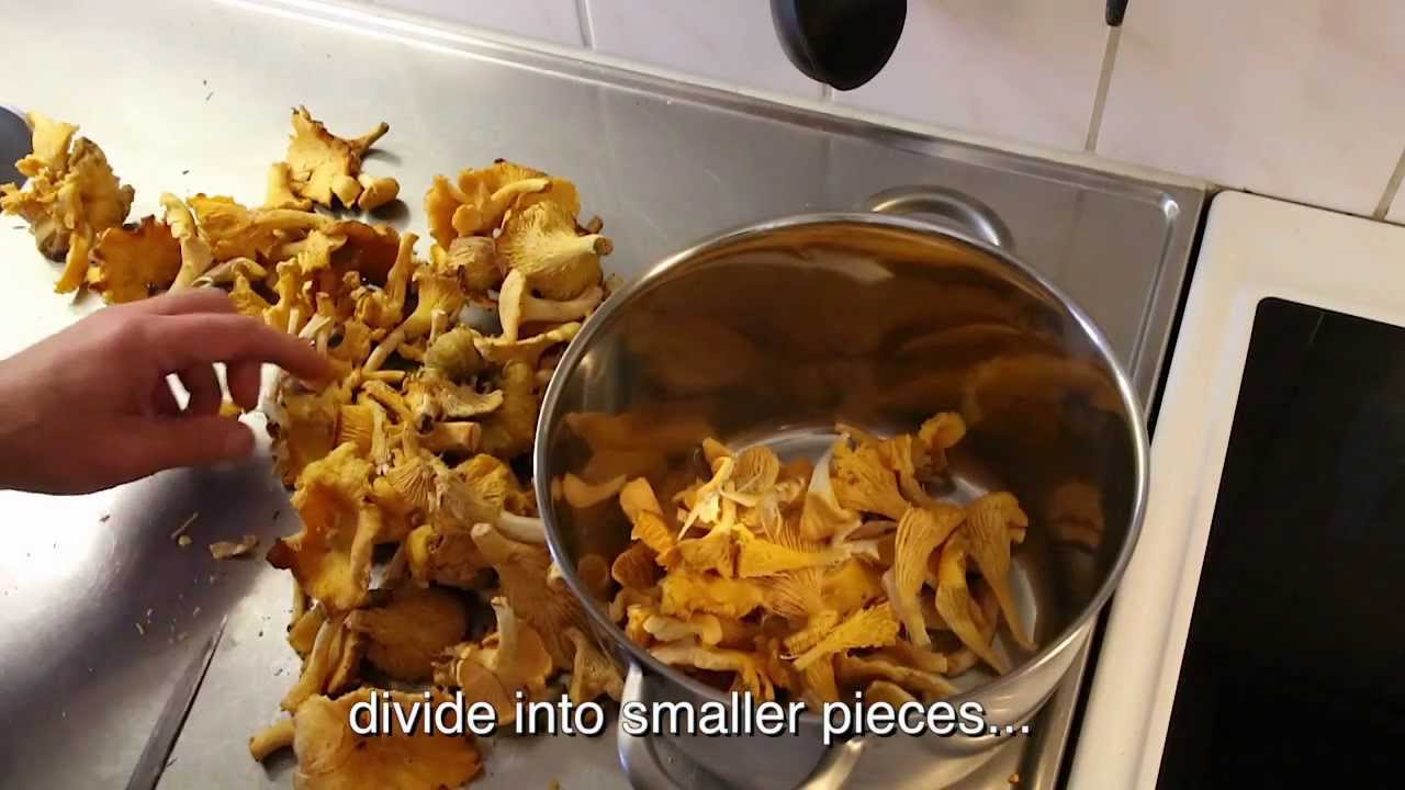 How to cook chanterelles! Lets follow 