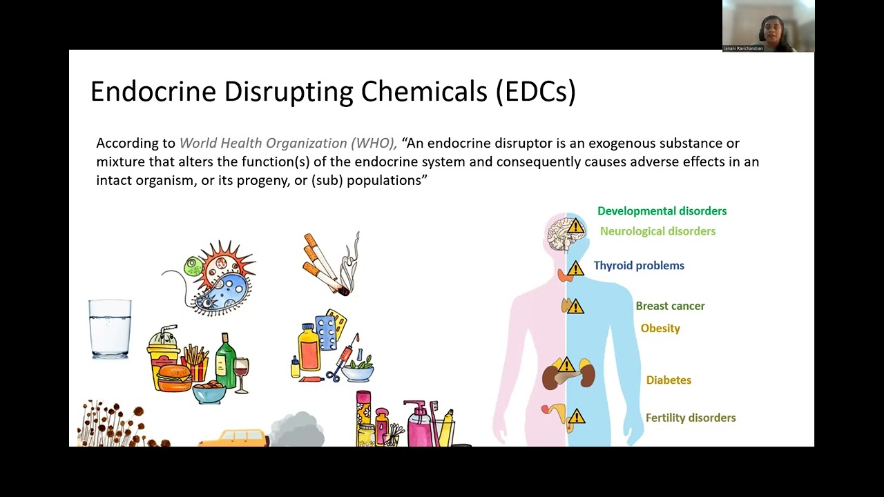 Webinar 25 - Adverse Outcome Pathways: A Tool for Understanding Endocrine Disruption Mechanism