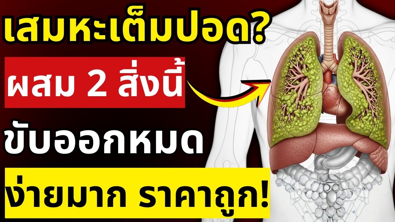สูตรขับเสมหะธรรมชาติ ล้างคอและปอดหมดเกลี้ยง ทรงพลังมาก! | สุขภาพผู้สูงอายุ
