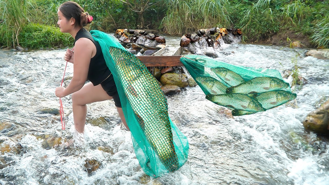 Homemade wooden fish trap on the stream – surprised with a school full of fish after an afternoon