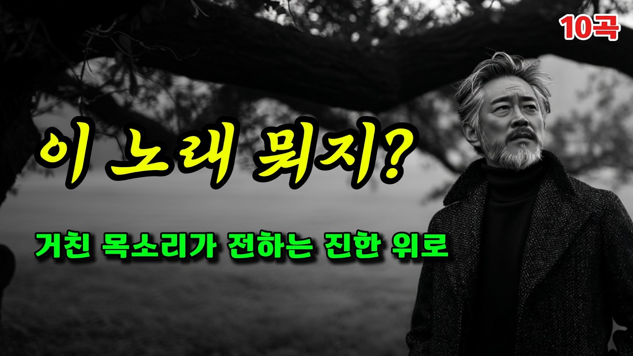 이 노래 뭐지? | 허스키한 목소리가 전하는 진한 위로 | 중년 감성 트롯발라드 10곡
