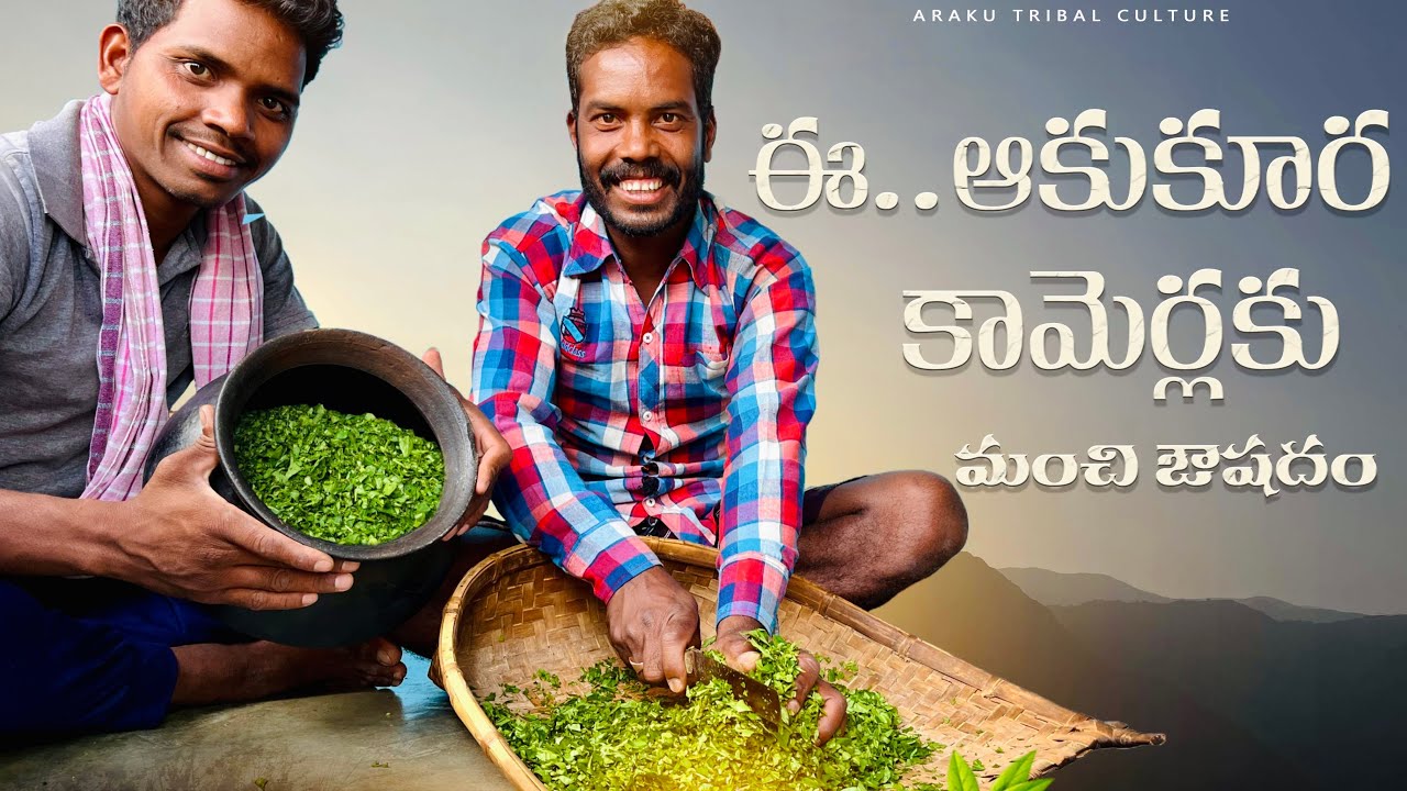 నాటుమందు : కామెర్లకు మేము వాడే ఆకుకూరలు | Jaundice tribal remedy