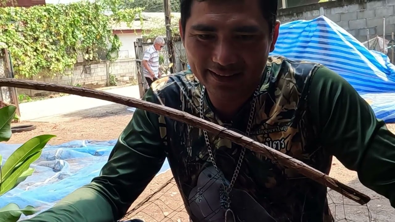 นกเขาใหญ่ตาฝั่งพอง: อาจารย์ไก่บ้านโคกแปะ เอาเพนียดนกเขาใหญ่มาซ่อม