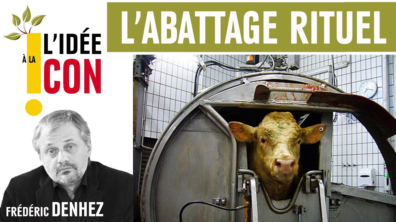 L'idée à la con : l'abattage rituel