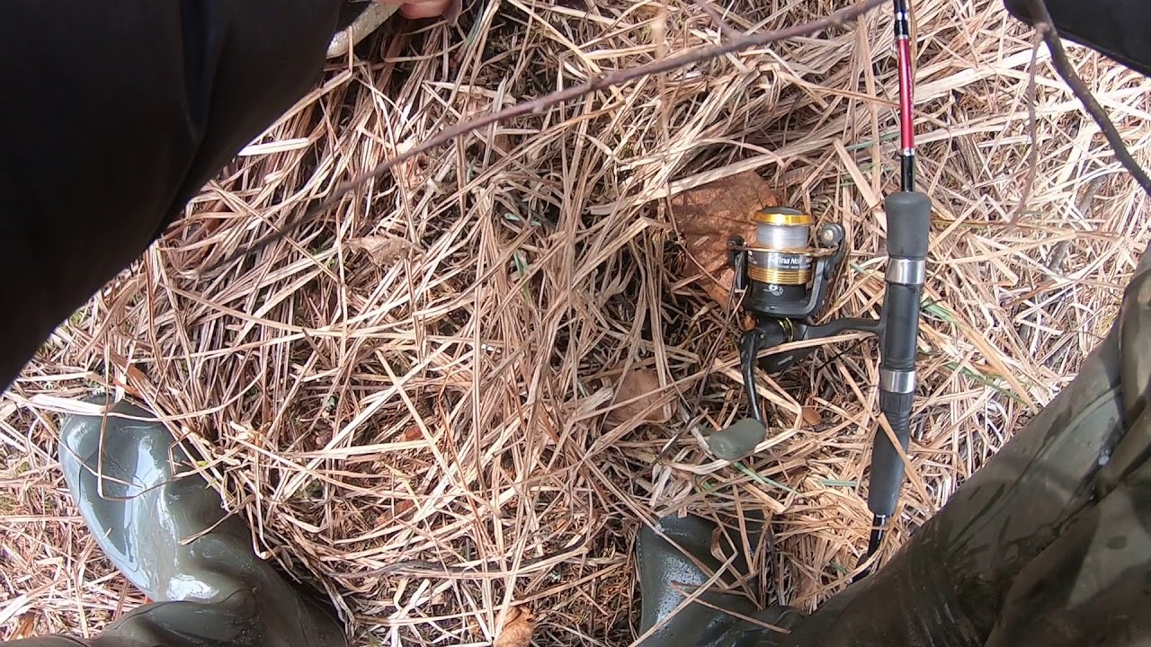 FORELL (viker) 1+ kilo.