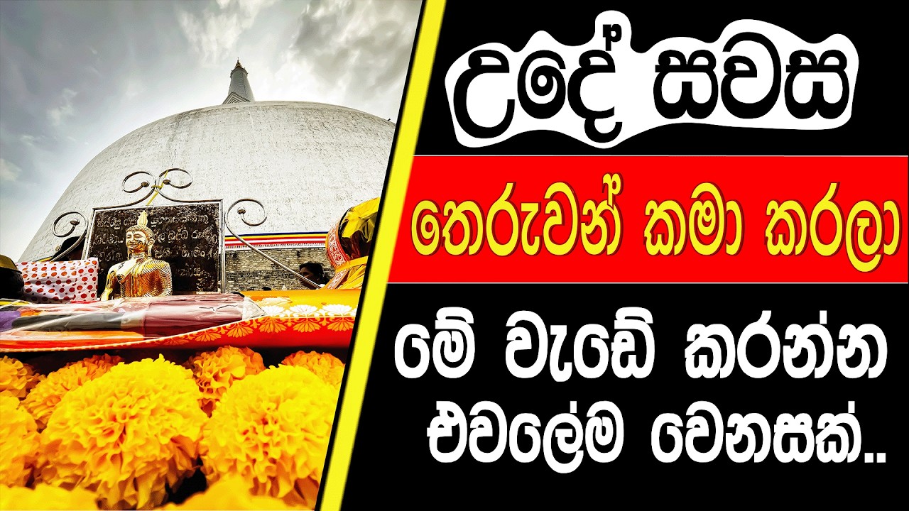 මේ වැඩේ කරන්න උතුරන්න හරි යනවා @BUDUGUNA9   #buduguna #budubana