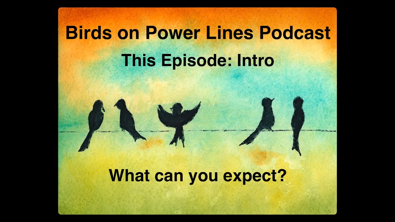 Welcome to the Birds on Power Lines Podcast (Audio)