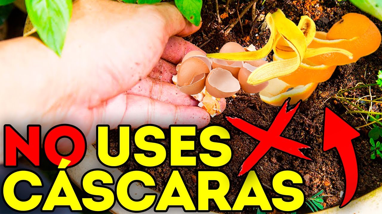 ❌ 19 ERRORES que estas COMETIENDO en tu Jardín/Huerto y NO lo sabes!!! 🌳
