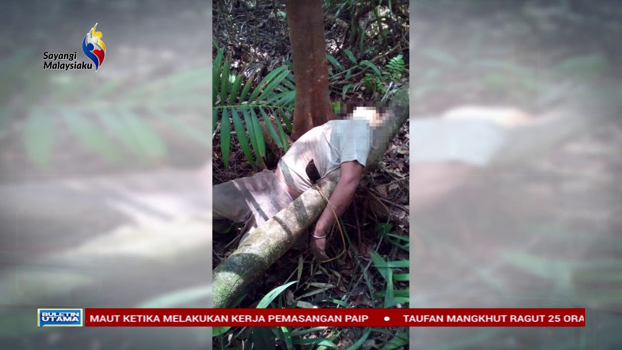 Dua Maut Ketika Cari Asam Kelubi