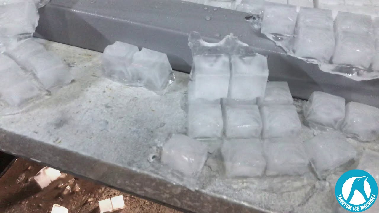 Ice Cube Machine (TAMUTOM)