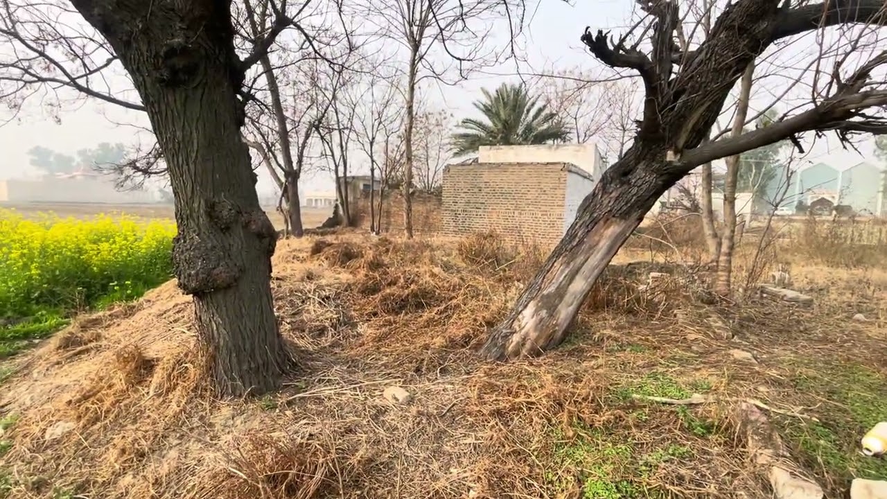 Village life in Nurpur , Attock