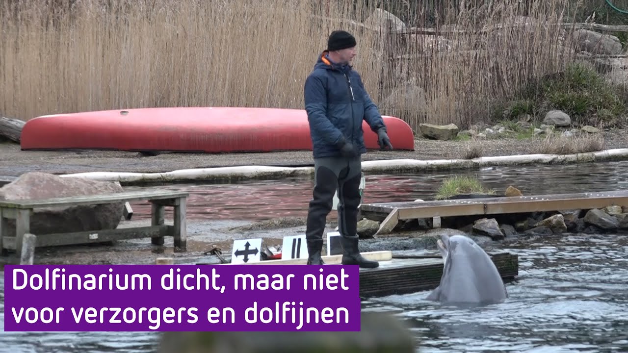Dolfinarium dicht, maar niet voor verzorgers en dolfijnen