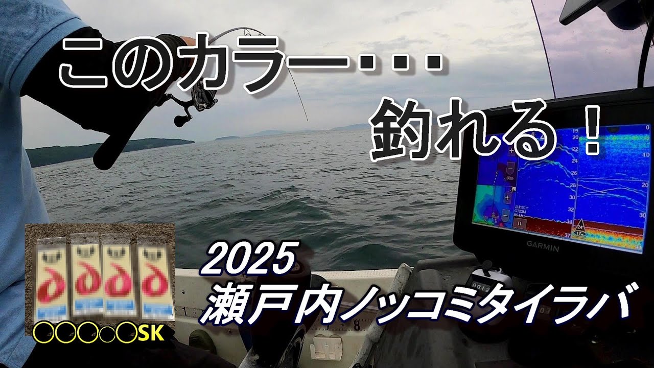 このカラー・・・釣れるぞ！　2025瀬戸内ノッコミタイラバ