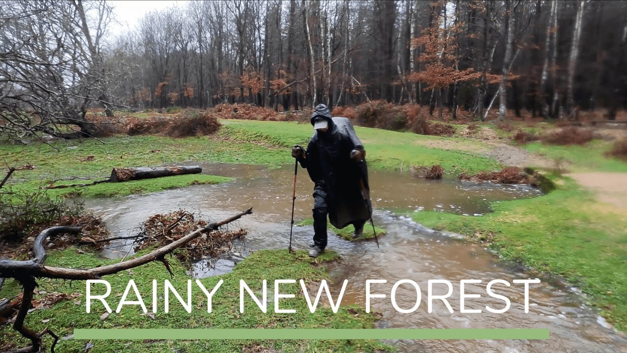 New Year's Eve in the New Forest | Rainy Winter Wild Camping for 2 Nights