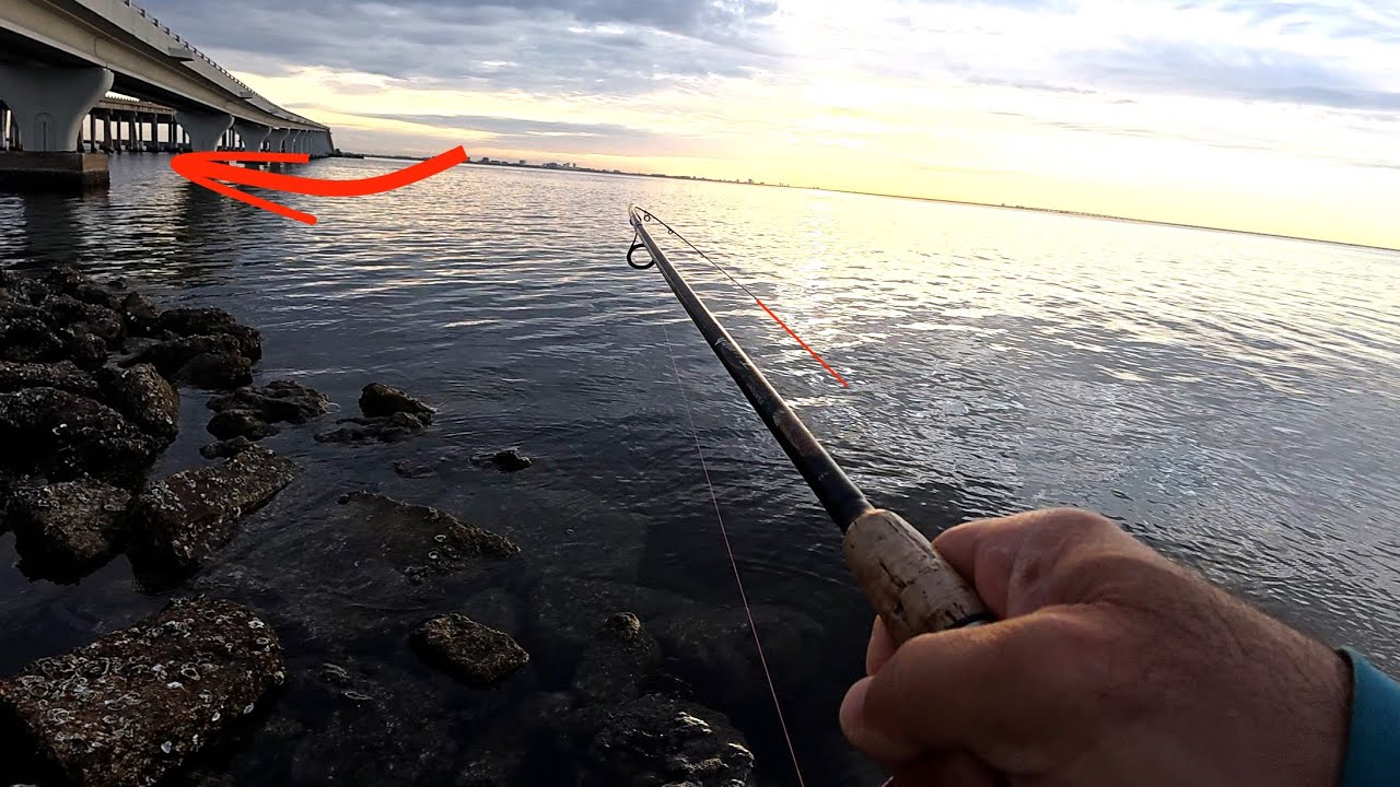 This Bridge Holds Monster Fish!! (Fishing Tampa Bay Florida)