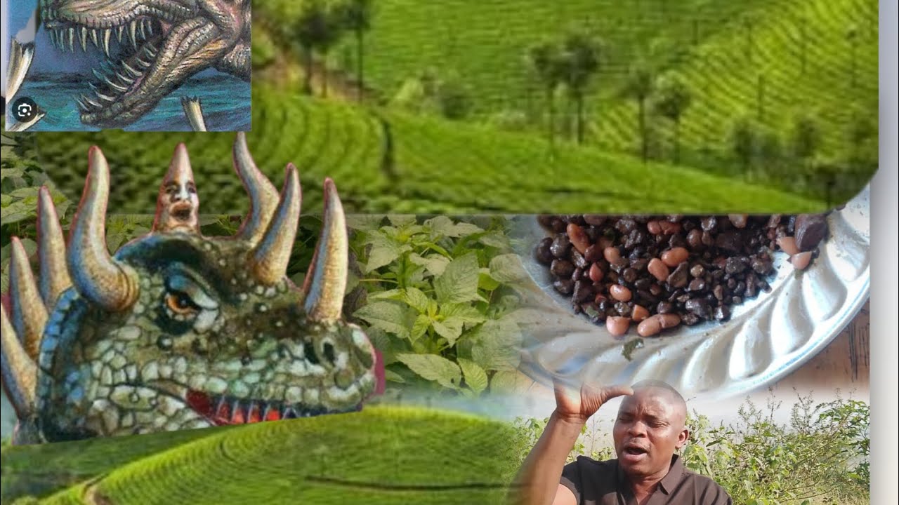 Ngubu ubuhanuzi utigeze wumva, byahanuwe kera ariko none dore nitutaba maso ntibitinze!!!? 