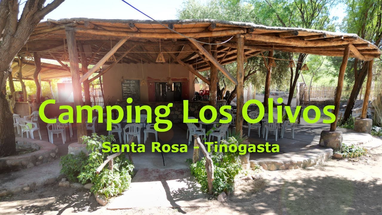 Camping Los Olivos - Santa Rosa - Tinogasta - Catamarca