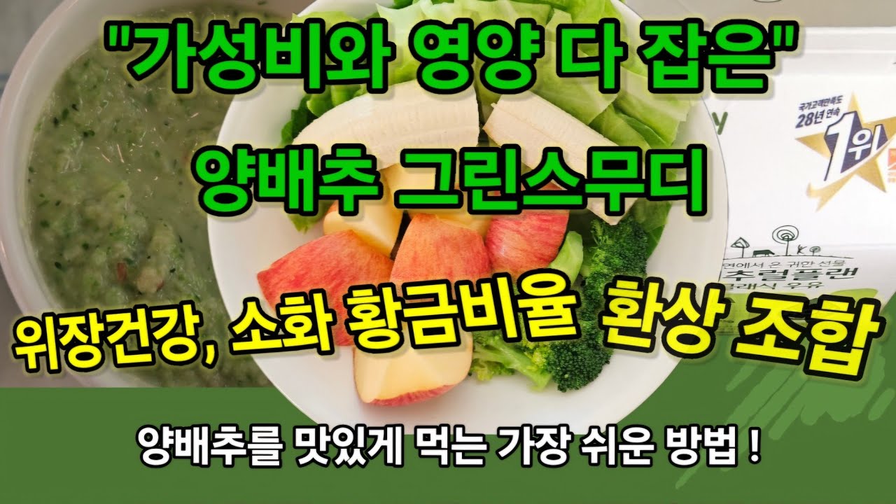 가성비와 영양 다 잡은 양배추 그린스무디