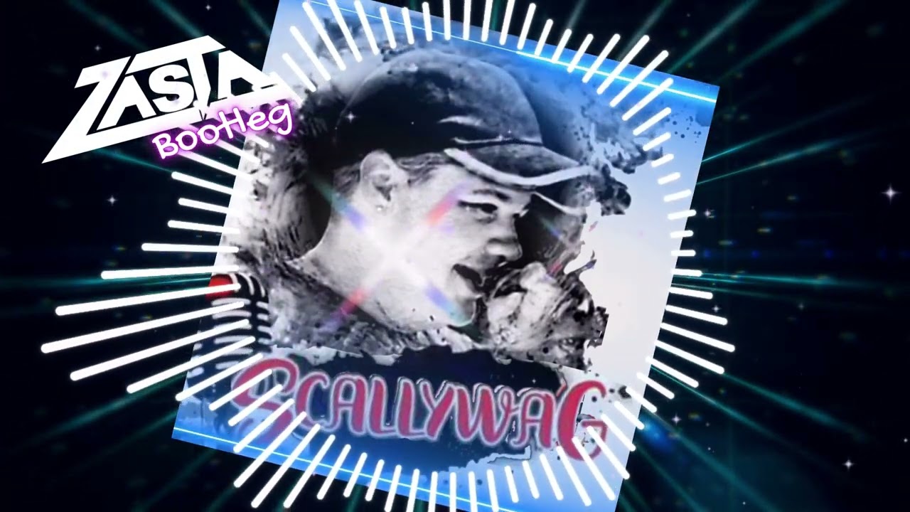 SCALLYWAG-Baby you´ve been good to me (DJ-ZaSta Bootleg Remix)
