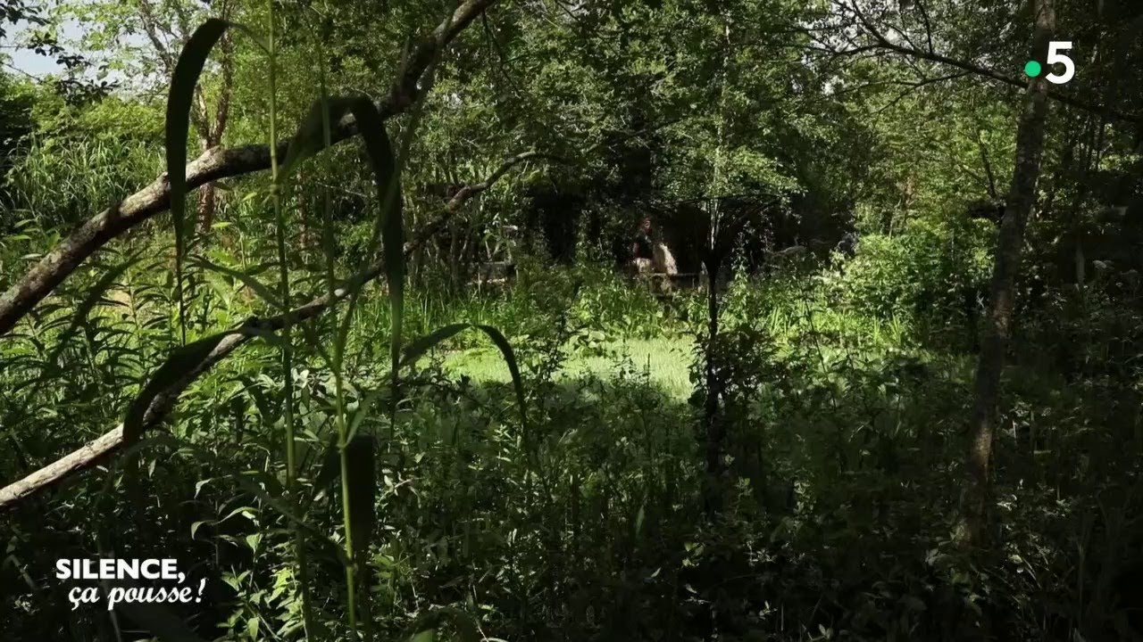 Visite de jardin : Le Festival de Chaumont-sur-Loire - Silence, ça pousse !