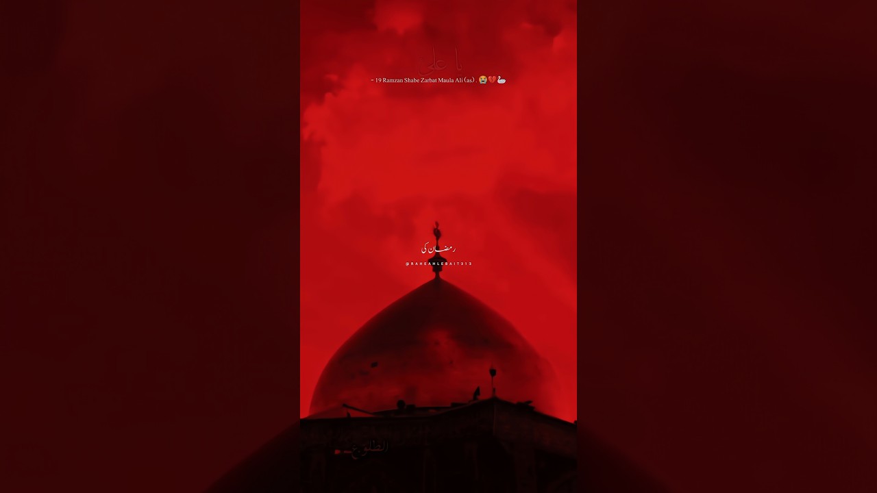 19Ramzan Shabe Zarbat Maula Ali (as) 😭 #shorts #viralvideo #whatsappstatus #1million