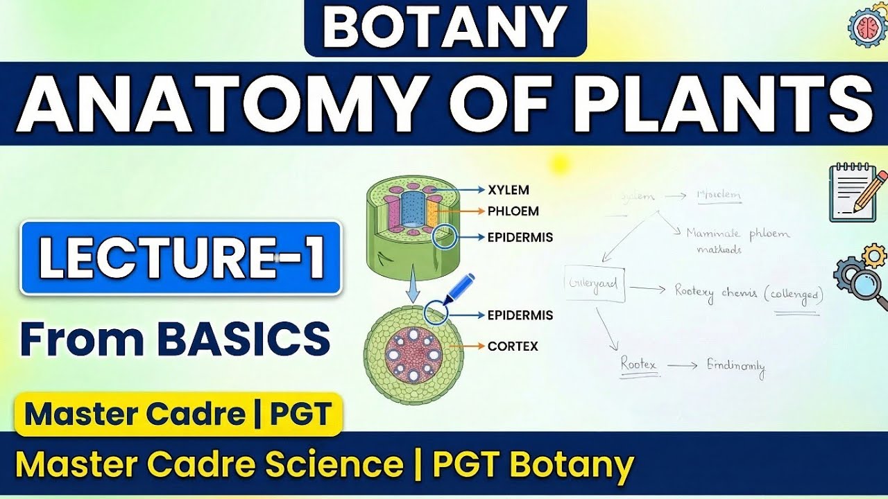 ANATOMY OF PLANT L-1 |by Divya Mam |Bilkul Basic Se | Master Cadre Science 