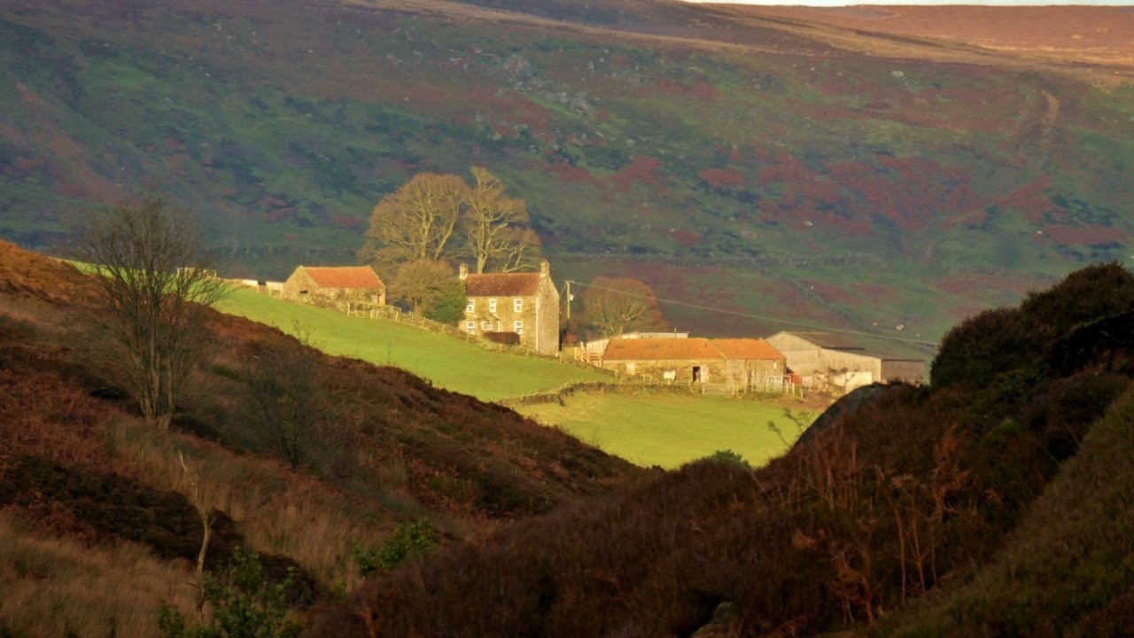 Westerdale, North York Moors - 20 December 2020
