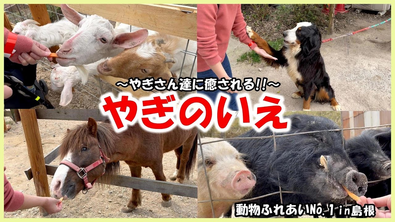 【やぎのいえ】動物ふれあいNo 1in島根～ヤギだけじゃない‼～