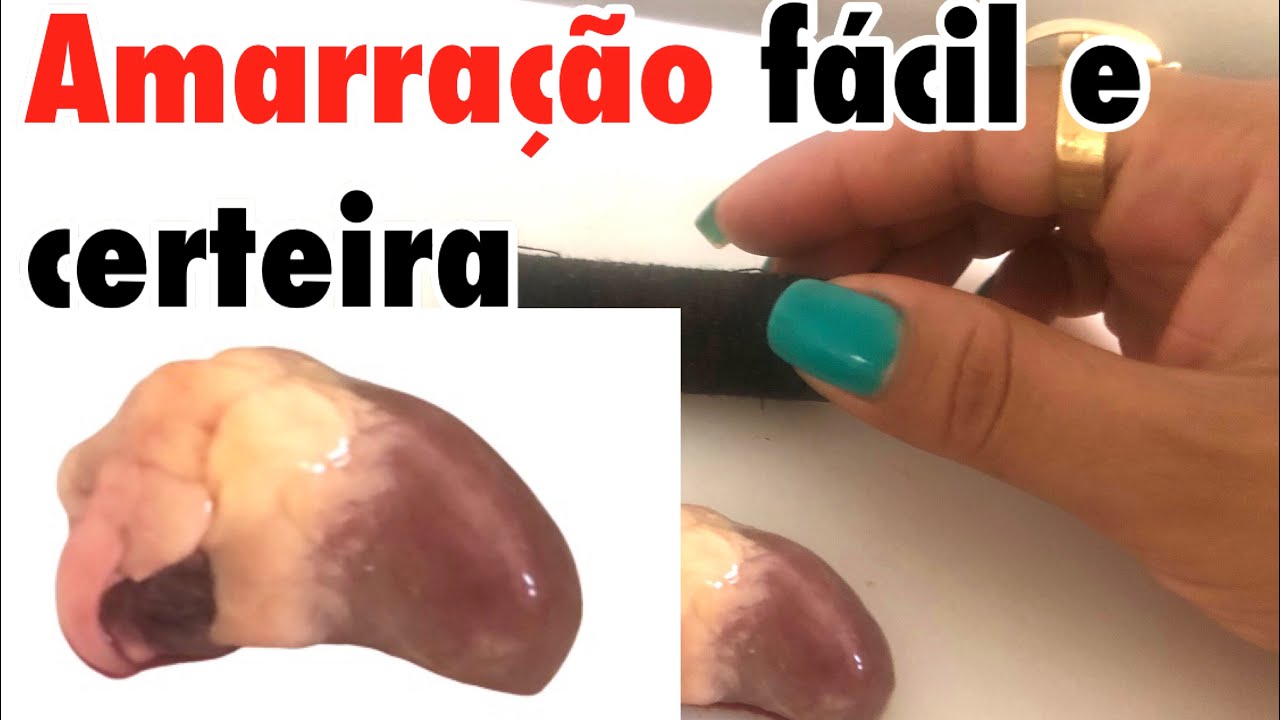 #amarra&ccedil;&atilde;o forte com cora&ccedil;&atilde;o de galinha irrevers&iacute;vel
