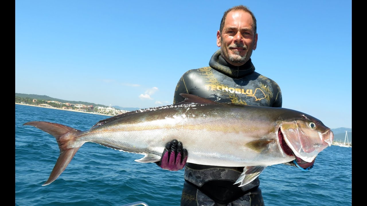 SERVIOLA,SERIOLE , RICCIOLA, AMBERJACK, MADREGAL 18 KG  FULL HD
