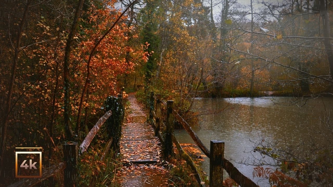 Heavy Rain Walk for Study & Focus | Relaxing Rain Sounds for Deep Work, Concentration & Calm
