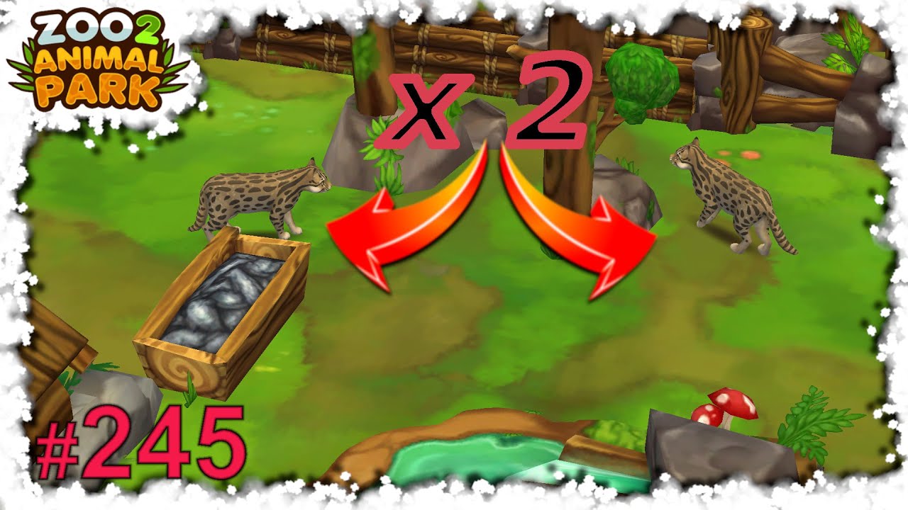 🦁 Zoo 2: Animal Park: #245 X2
